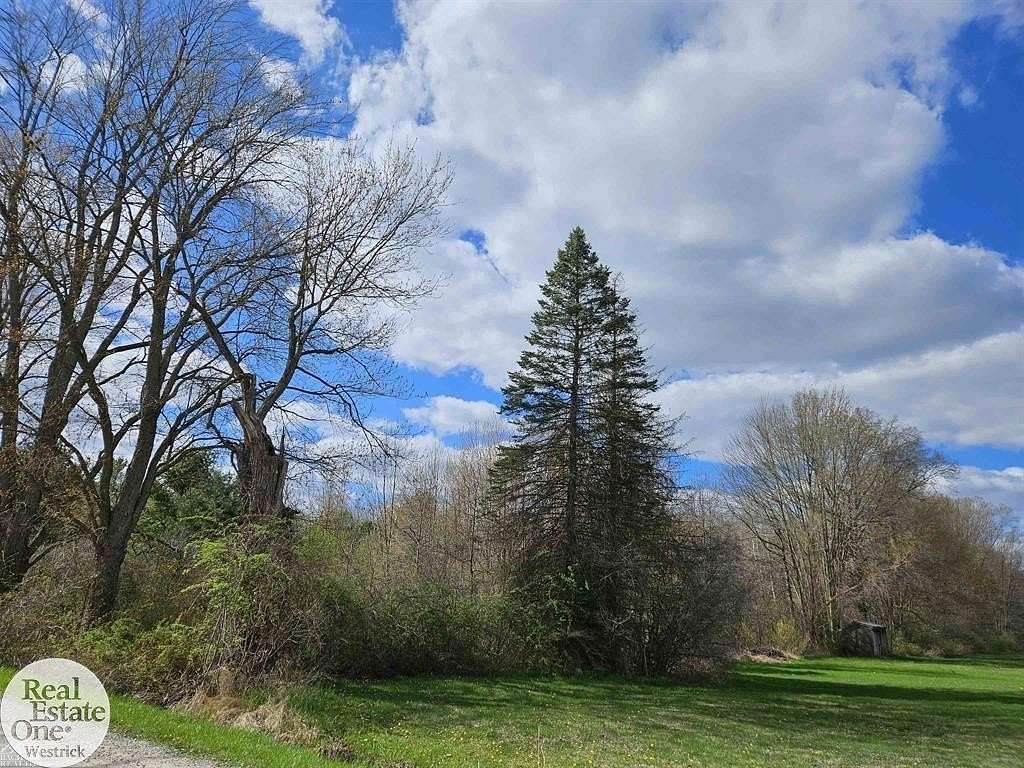 31.4 Acres of Recreational & Residential Land for Sale in Cottrellville Township, Michigan