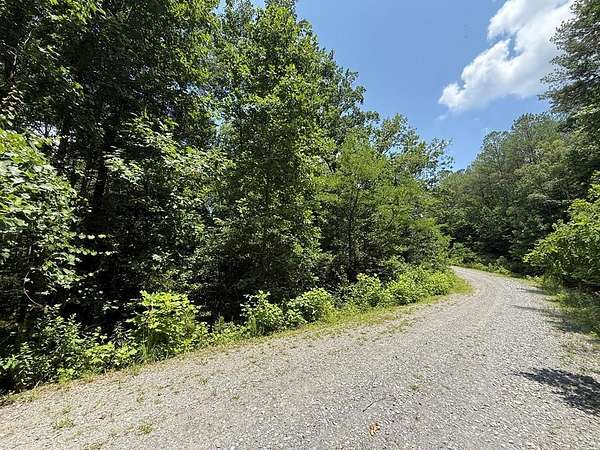 3.13 Acres of Residential Land for Sale in Ellijay, Georgia