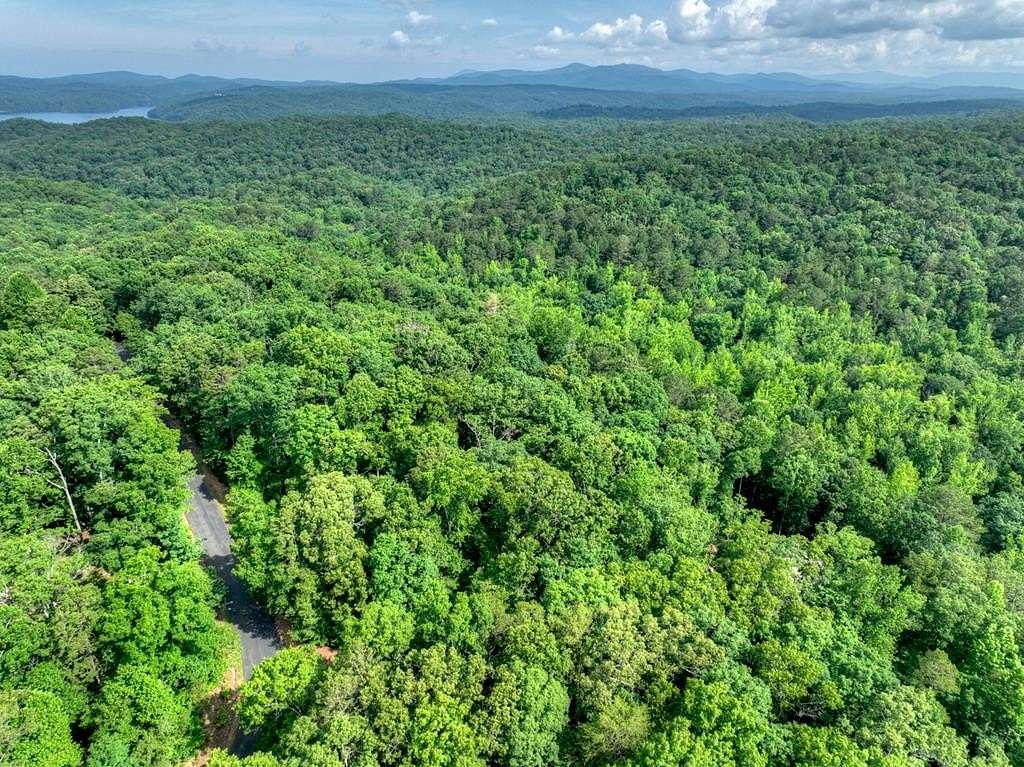 1 Acre of Residential Land for Sale in Ellijay, Georgia