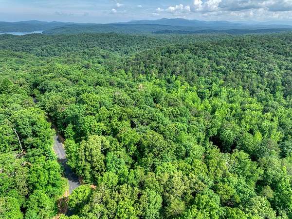1 Acre of Residential Land for Sale in Ellijay, Georgia