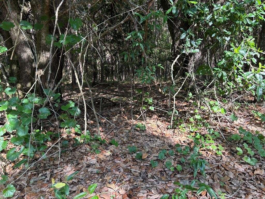 8 Acres of Land for Sale in Pavo, Georgia