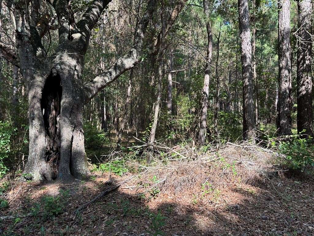 8 Acres of Land for Sale in Pavo, Georgia