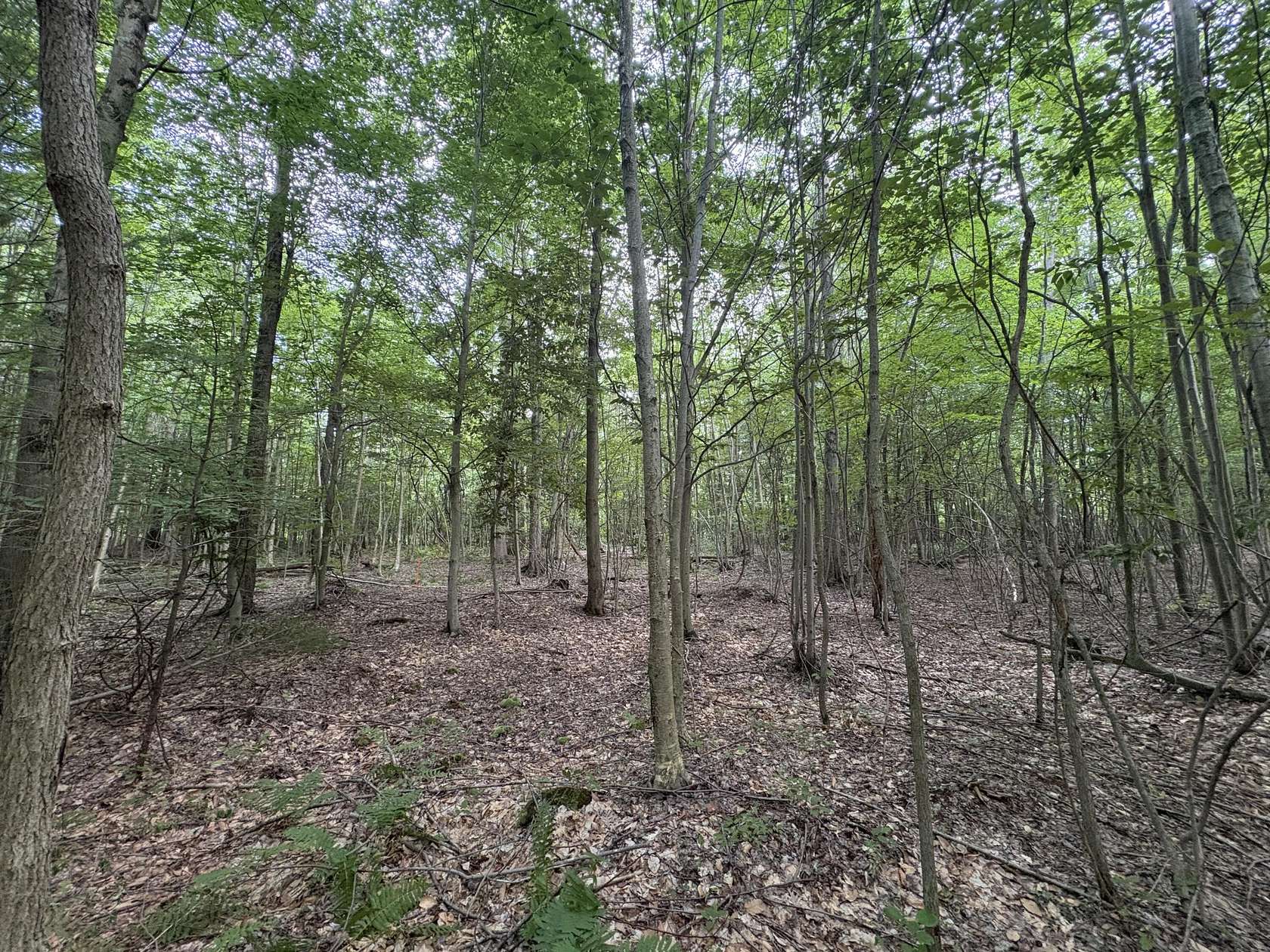 0.48 Acres of Land for Sale in Pullman, Michigan