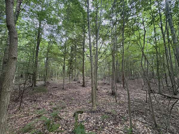 0.48 Acres of Land for Sale in Pullman, Michigan