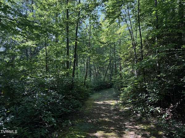 5.23 Acres of Residential Land for Sale in Del Rio, Tennessee