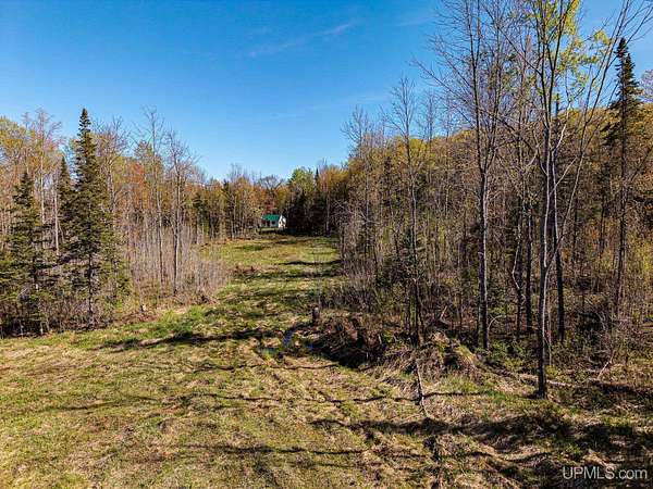 40 Acres of Recreational & Residential Land for Sale in Marenisco, Michigan