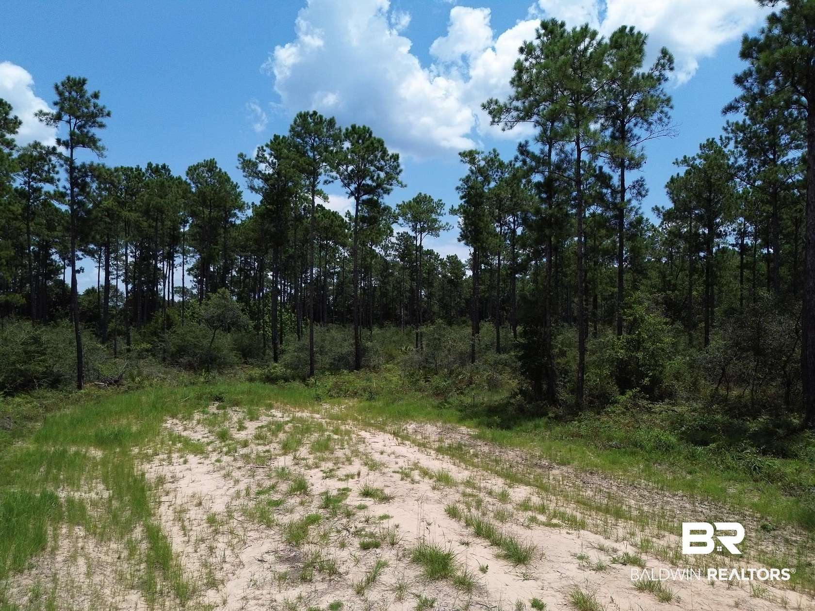 5 Acres of Residential Land for Sale in Seminole, Alabama