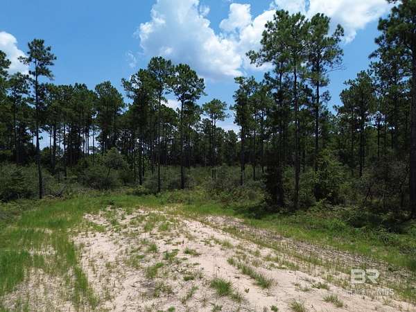 5 Acres of Residential Land for Sale in Seminole, Alabama
