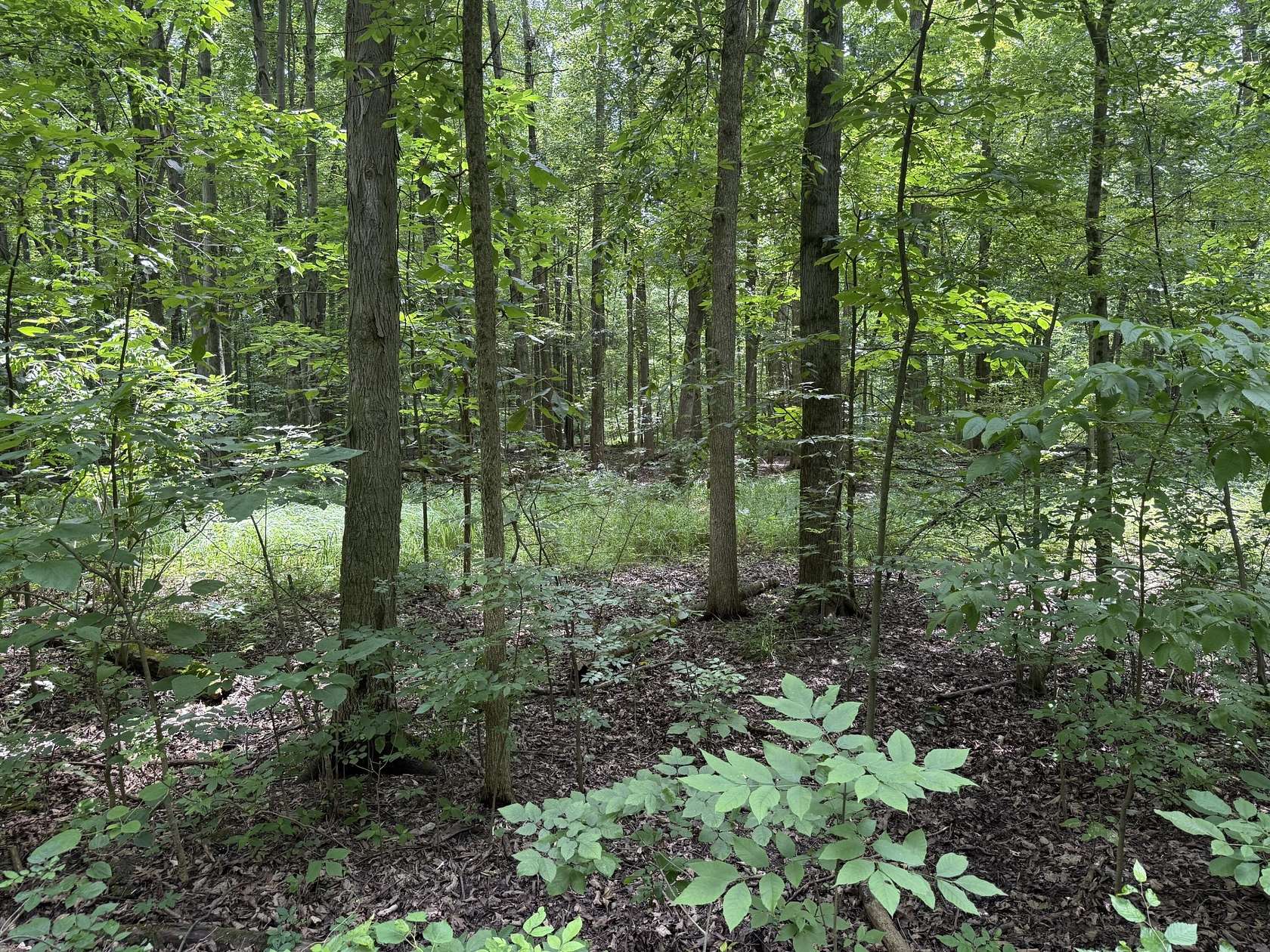 4.48 Acres of Residential Land for Sale in East Leroy, Michigan