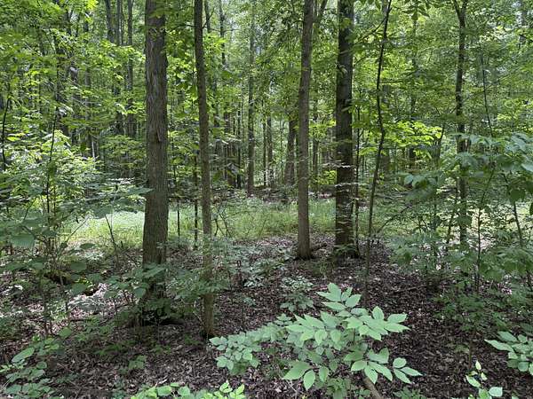 4.48 Acres of Residential Land for Sale in East Leroy, Michigan