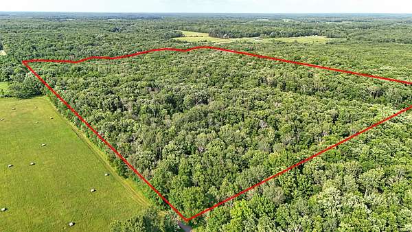 51 Acres of Recreational Land for Sale in Milaca, Minnesota