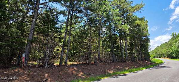 64 Acres of Recreational Land for Sale in McCormick, South Carolina