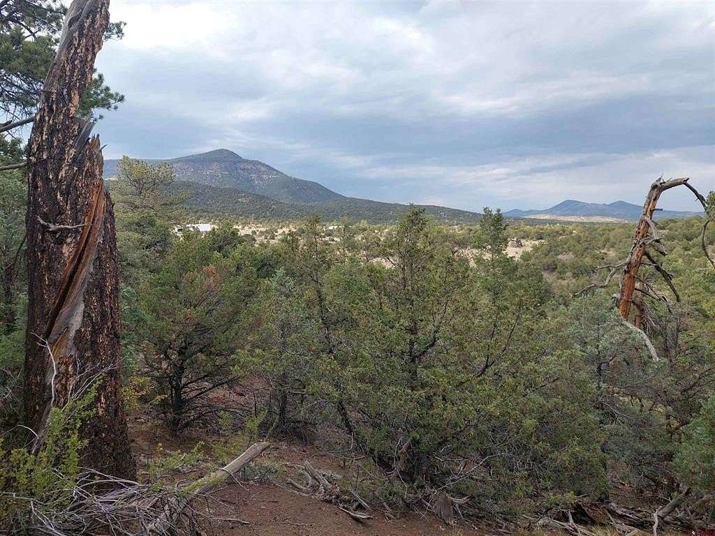 0.77 Acres of Land for Sale in South Fork, Colorado