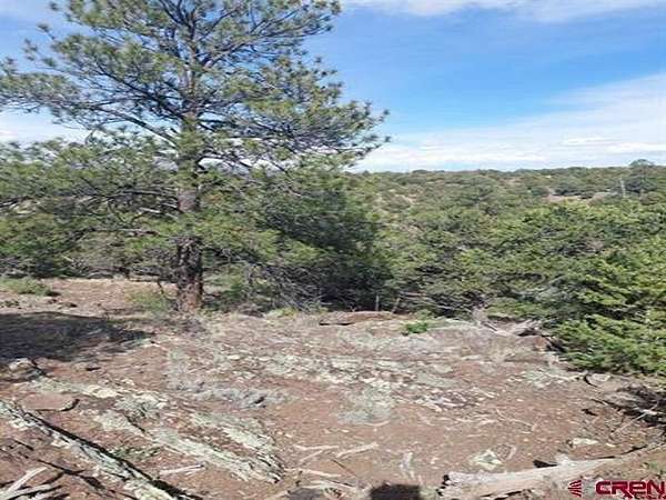 0.77 Acres of Land for Sale in South Fork, Colorado