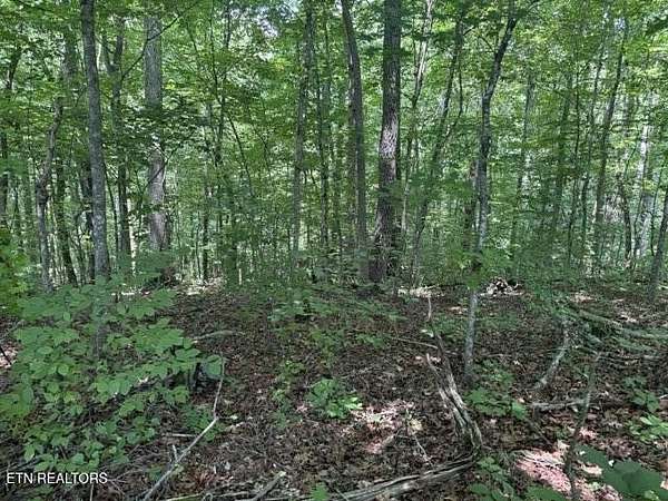 3 Acres of Land for Sale in Knoxville, Tennessee