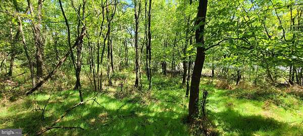 2 Acres of Residential Land for Sale in Middletown, Virginia