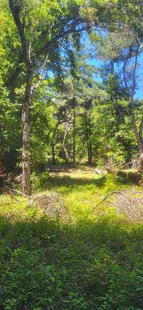 9.23 Acres of Land for Sale in Boulder Creek, California