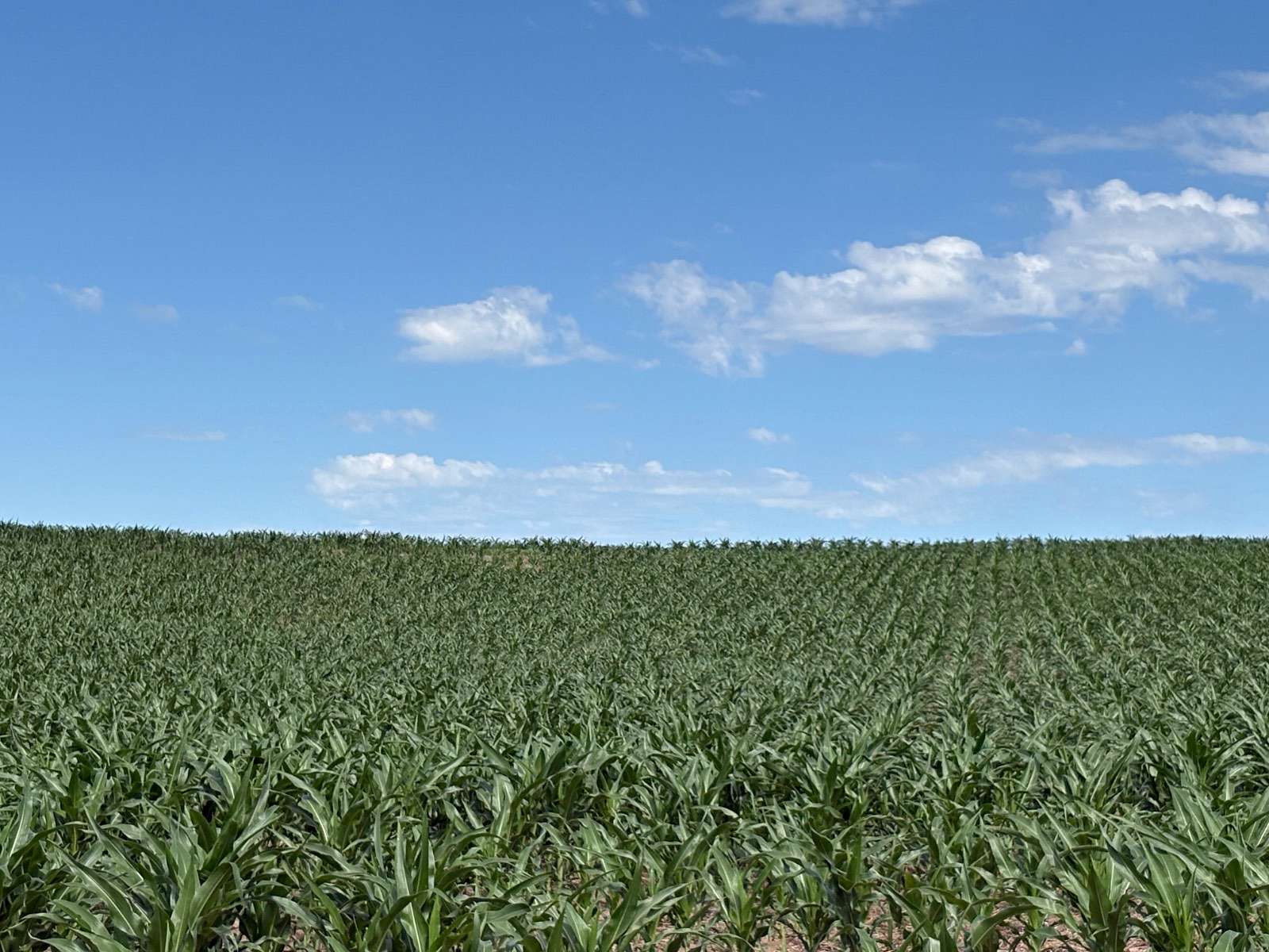 148 Acres of Agricultural Land for Sale in Superior, Nebraska