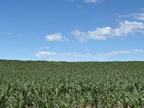 148 Acres of Agricultural Land for Sale in Superior, Nebraska