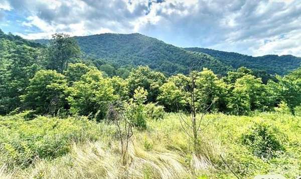 1.13 Acres of Residential Land for Sale in Clyde, North Carolina