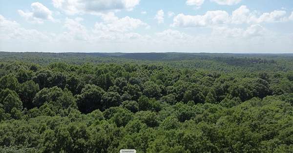 10 Acres of Land for Sale in Hurricane Mills, Tennessee