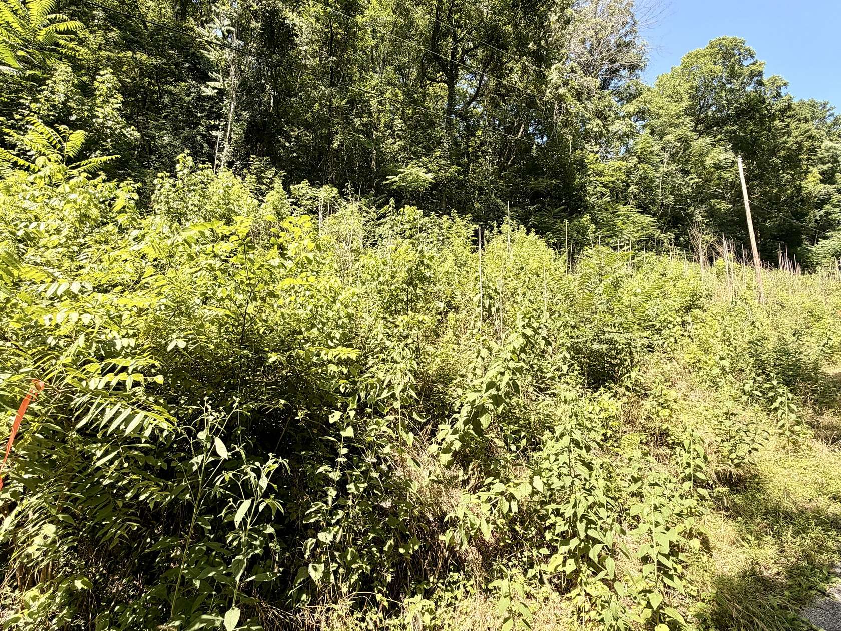 0.47 Acres of Residential Land for Sale in Silver Point, Tennessee