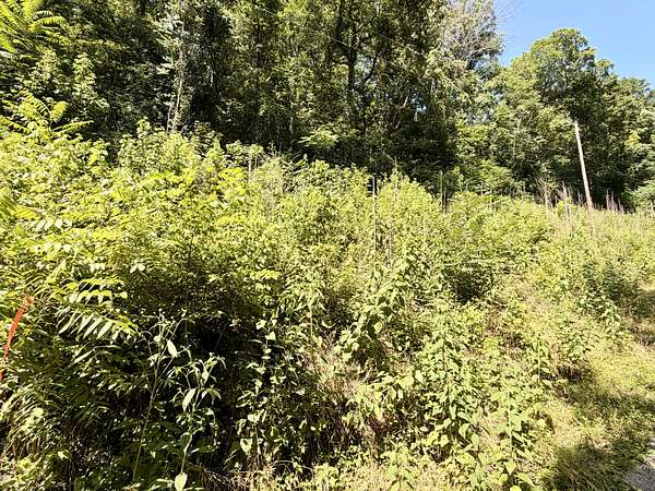 0.47 Acres of Residential Land for Sale in Silver Point, Tennessee