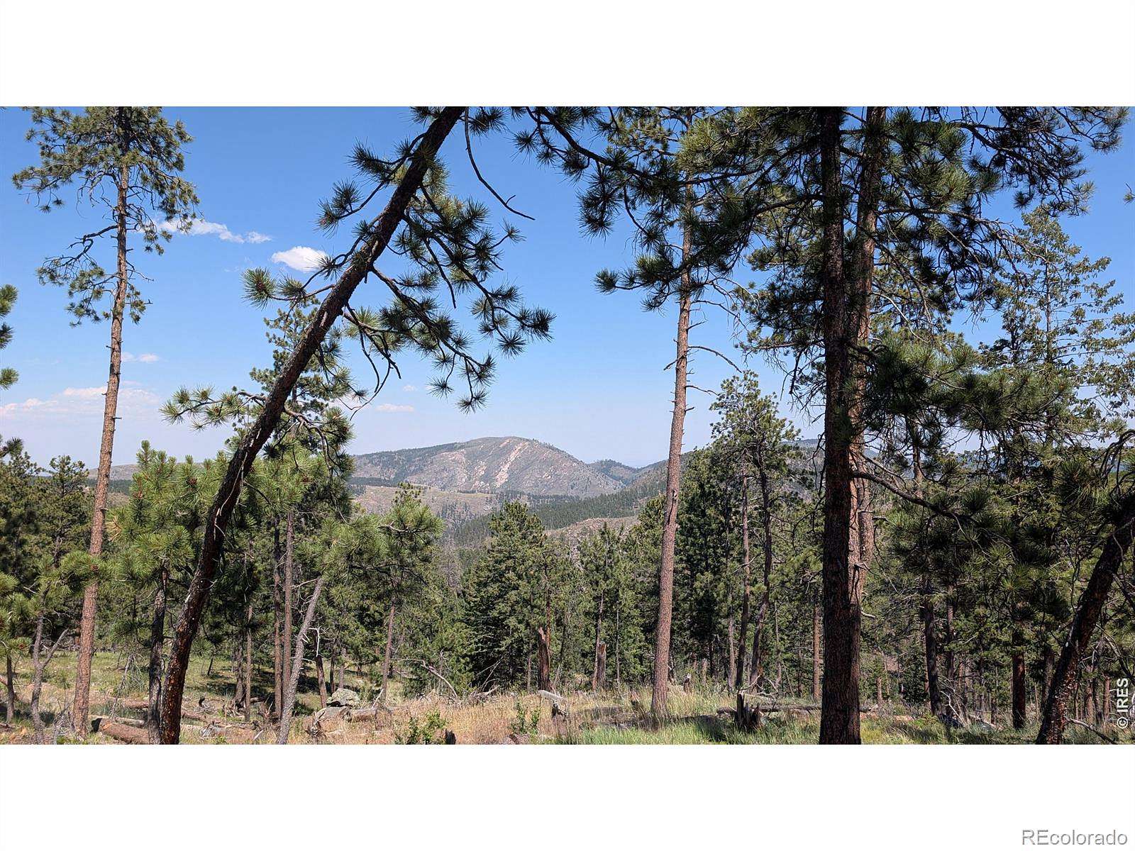 37.2 Acres of Recreational & Residential Land for Sale in Bellvue, Colorado