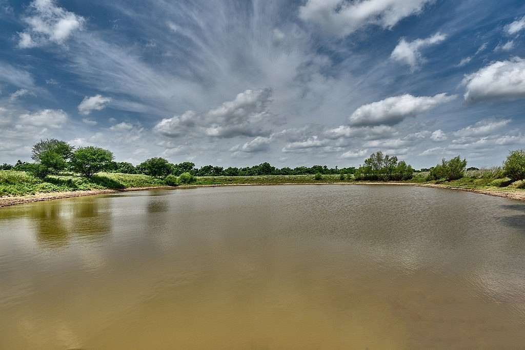 38.6 Acres of Land for Sale in Navasota, Texas