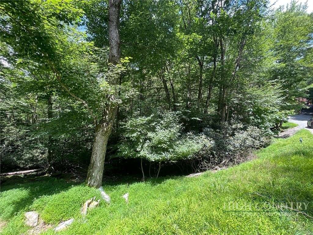 0.33 Acres of Land for Sale in Beech Mountain, North Carolina