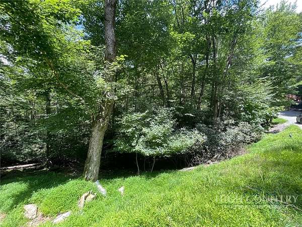 0.33 Acres of Land for Sale in Beech Mountain, North Carolina