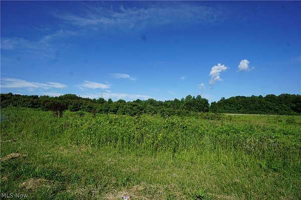 31.6 Acres of Commercial Land for Auction in Madison, Ohio