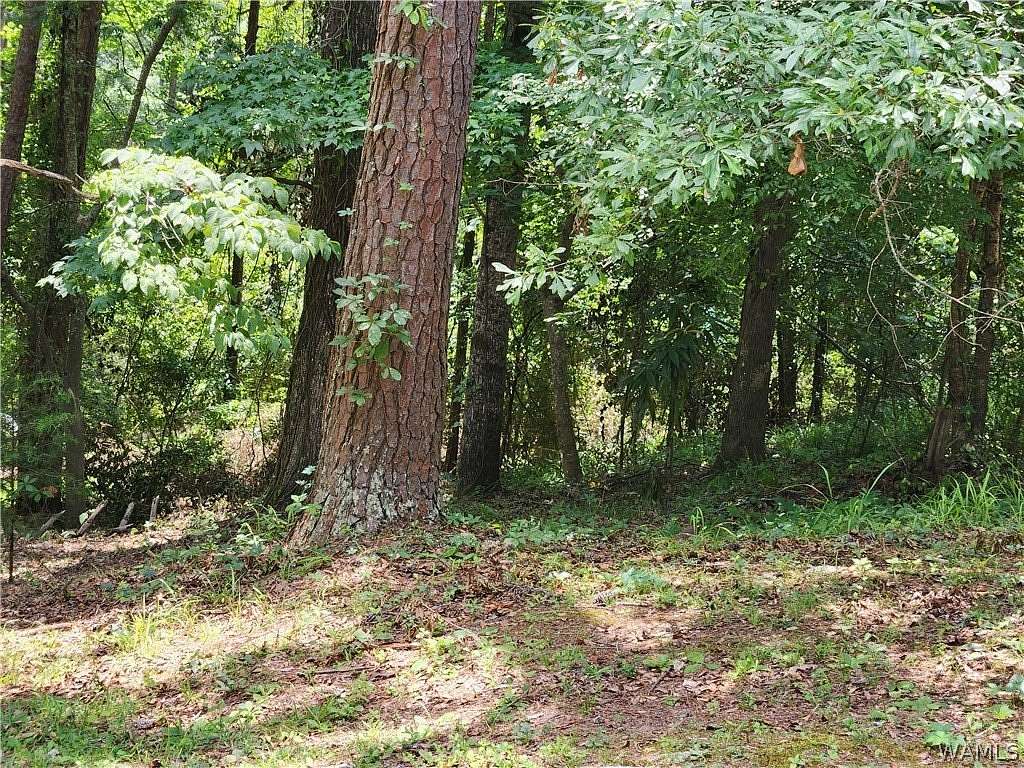 0.48 Acres of Land for Sale in Tuscaloosa, Alabama