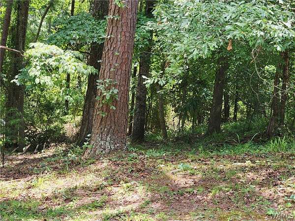 0.48 Acres of Land for Sale in Tuscaloosa, Alabama
