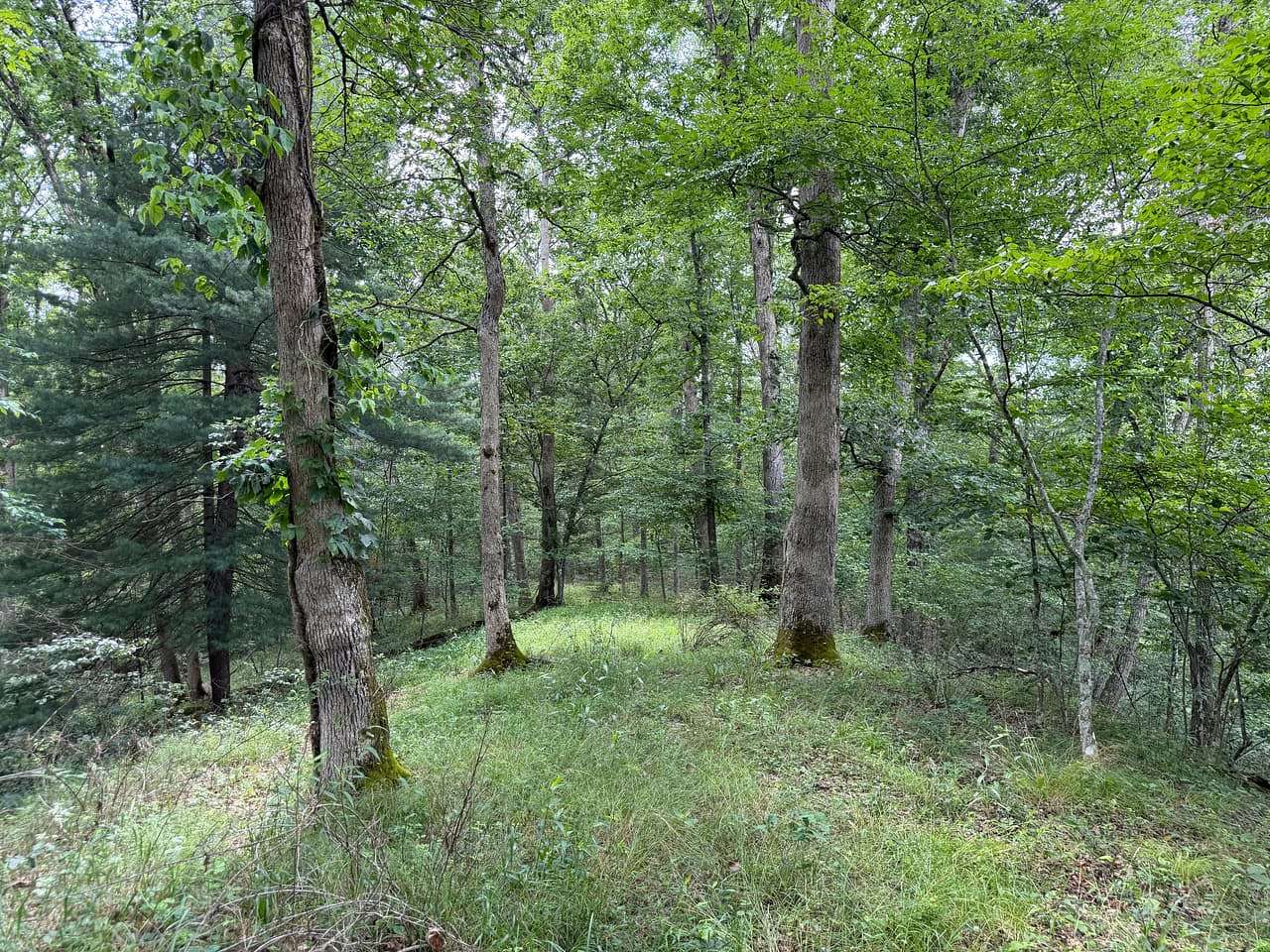7.59 Acres of Land for Sale in Peebles, Ohio