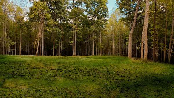 5 Acres of Land with Home for Sale in White House, Tennessee