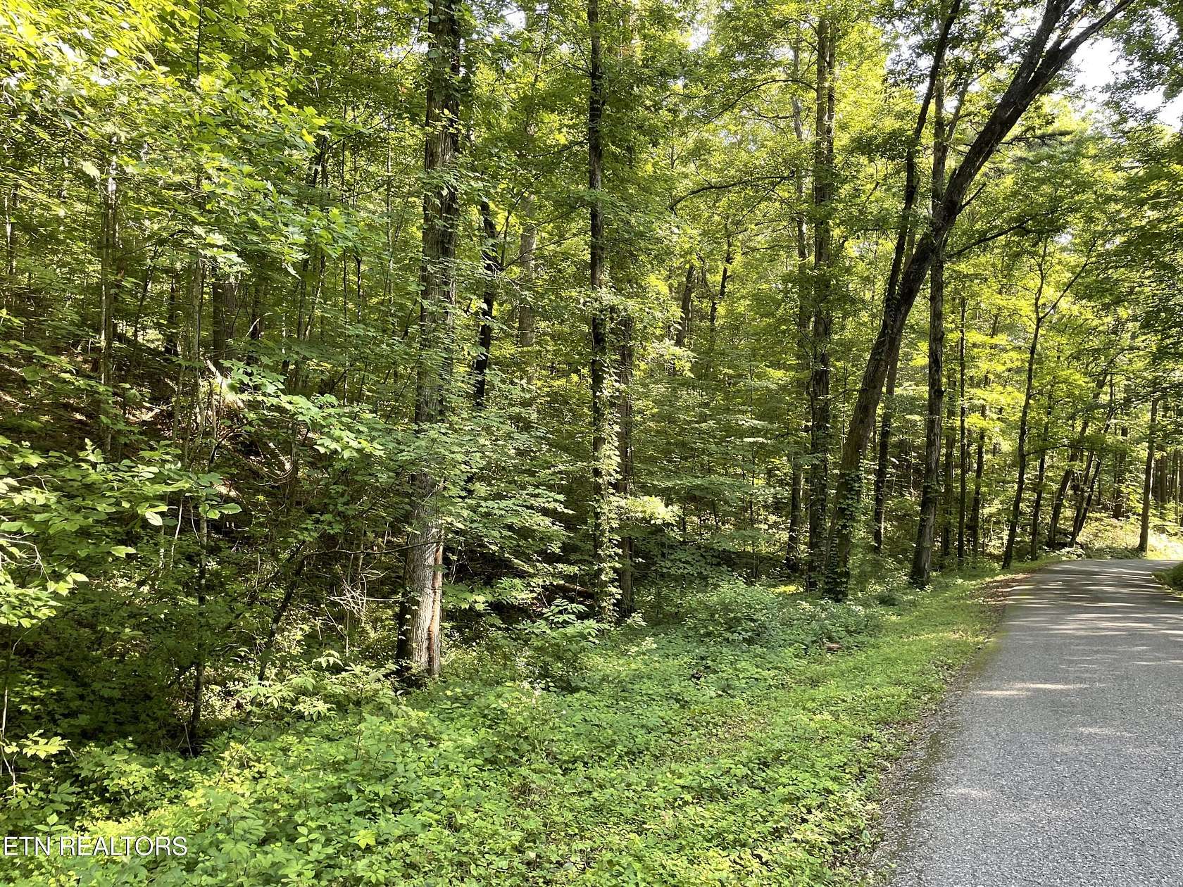6 Acres of Residential Land for Sale in Tellico Plains, Tennessee