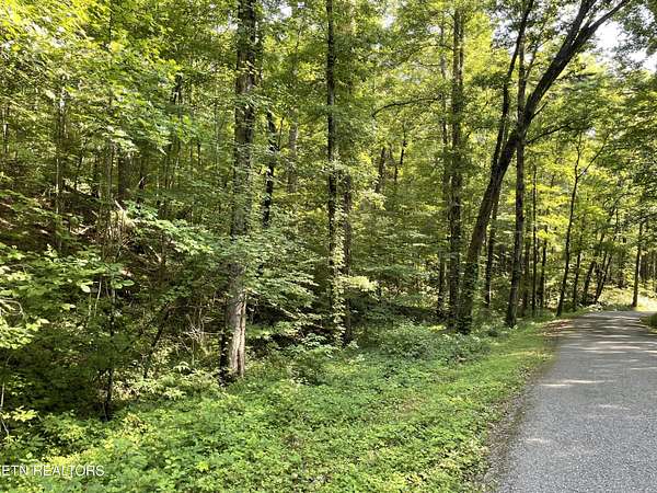6 Acres of Residential Land for Sale in Tellico Plains, Tennessee