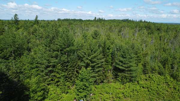 8 Acres of Residential Land for Sale in Greenbush, Maine