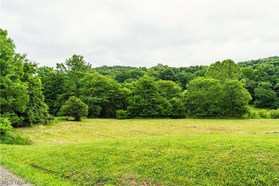 74.5 Acres of Recreational Land for Sale in Chandlersville, Ohio