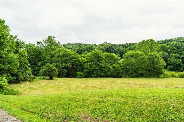 74.5 Acres of Recreational Land for Sale in Chandlersville, Ohio