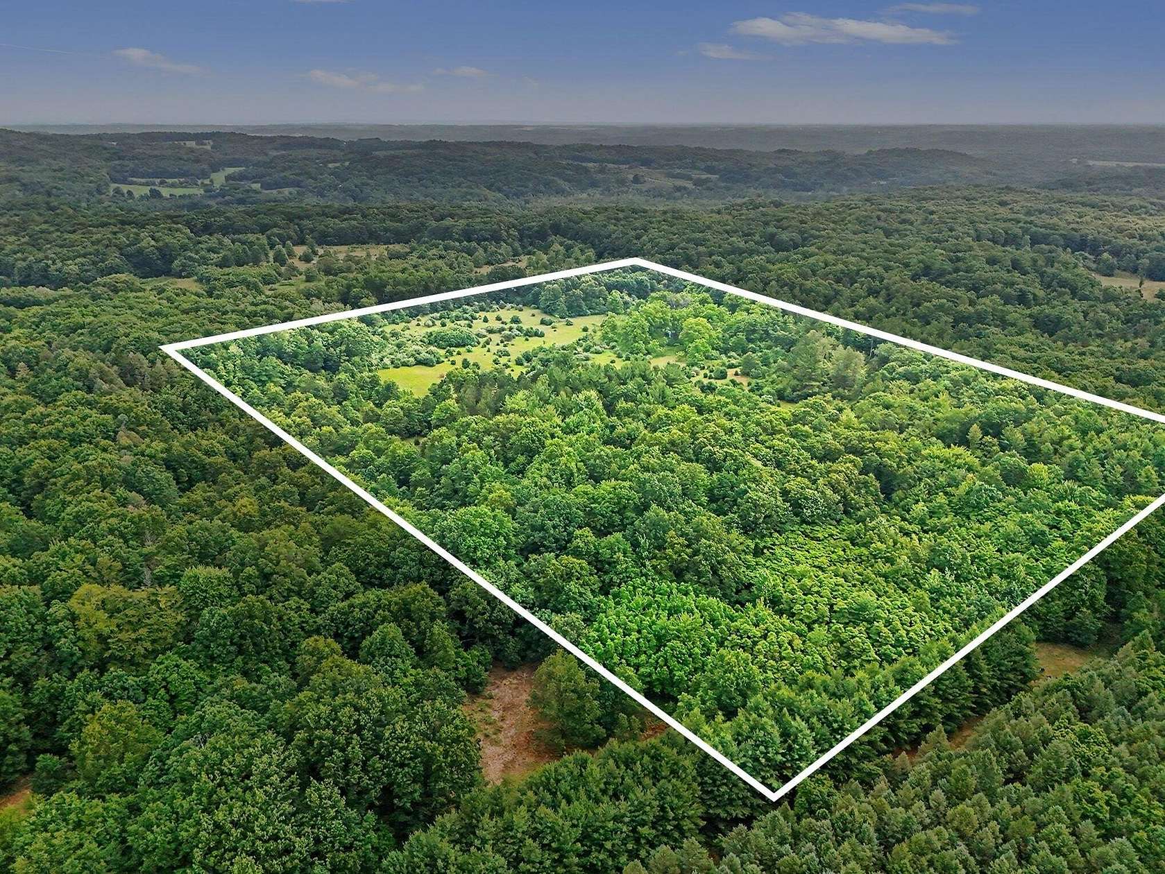40 Acres of Recreational & Residential Land for Sale in Shelby, Michigan