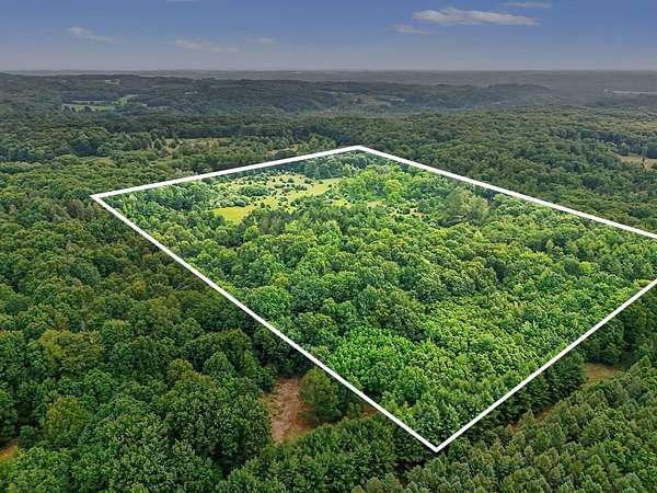 40 Acres of Recreational & Residential Land for Sale in Shelby, Michigan