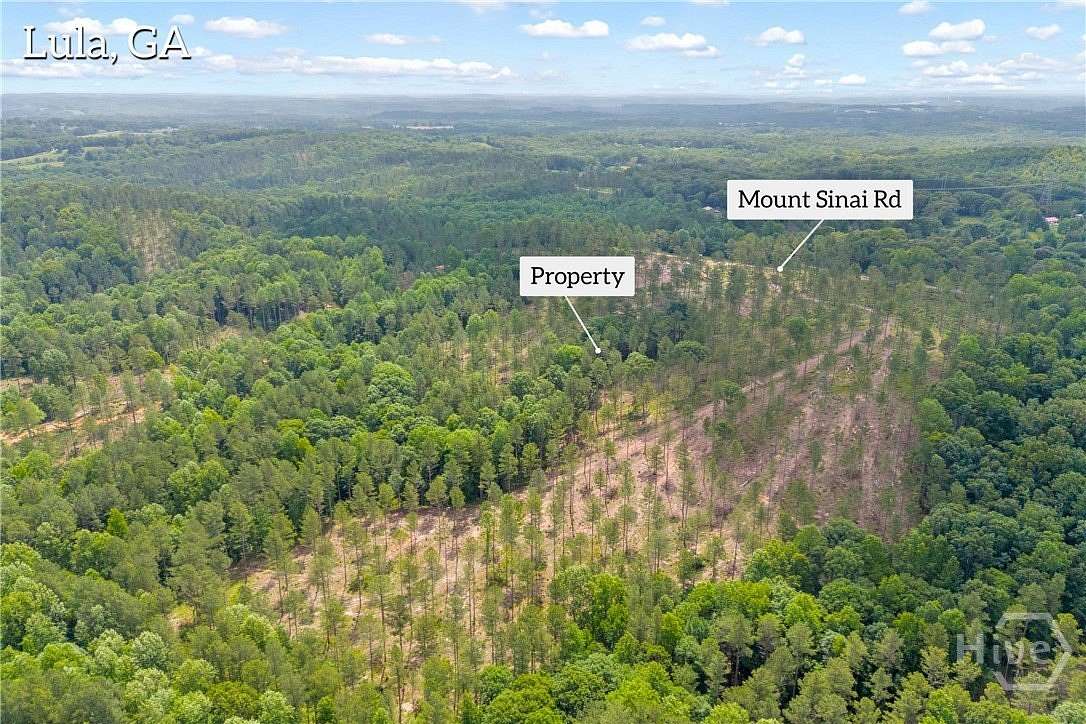 33.2 Acres of Recreational Land for Sale in Lula, Georgia