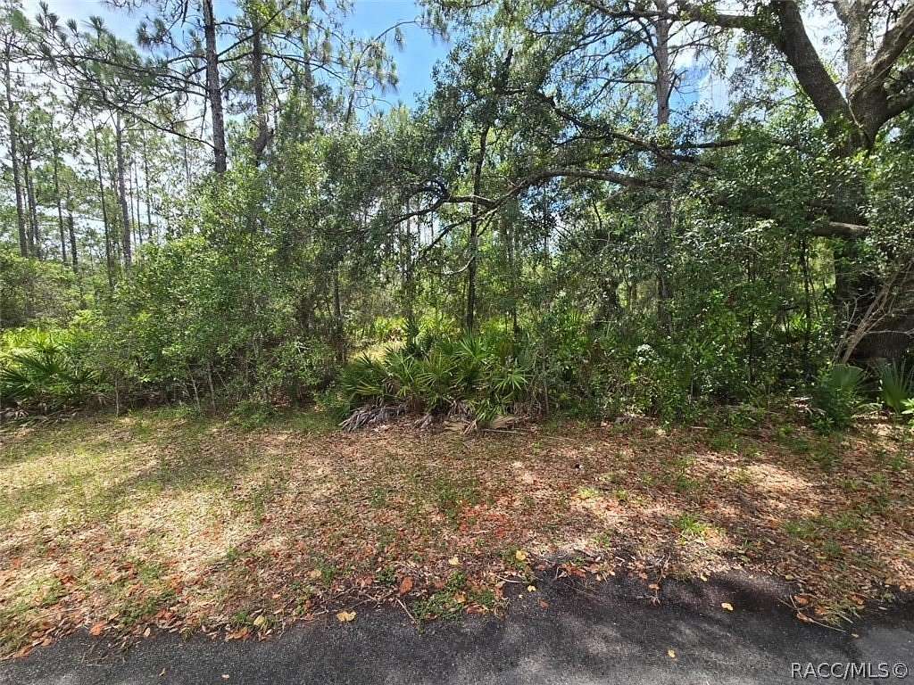 0.28 Acres of Residential Land for Sale in Homosassa, Florida