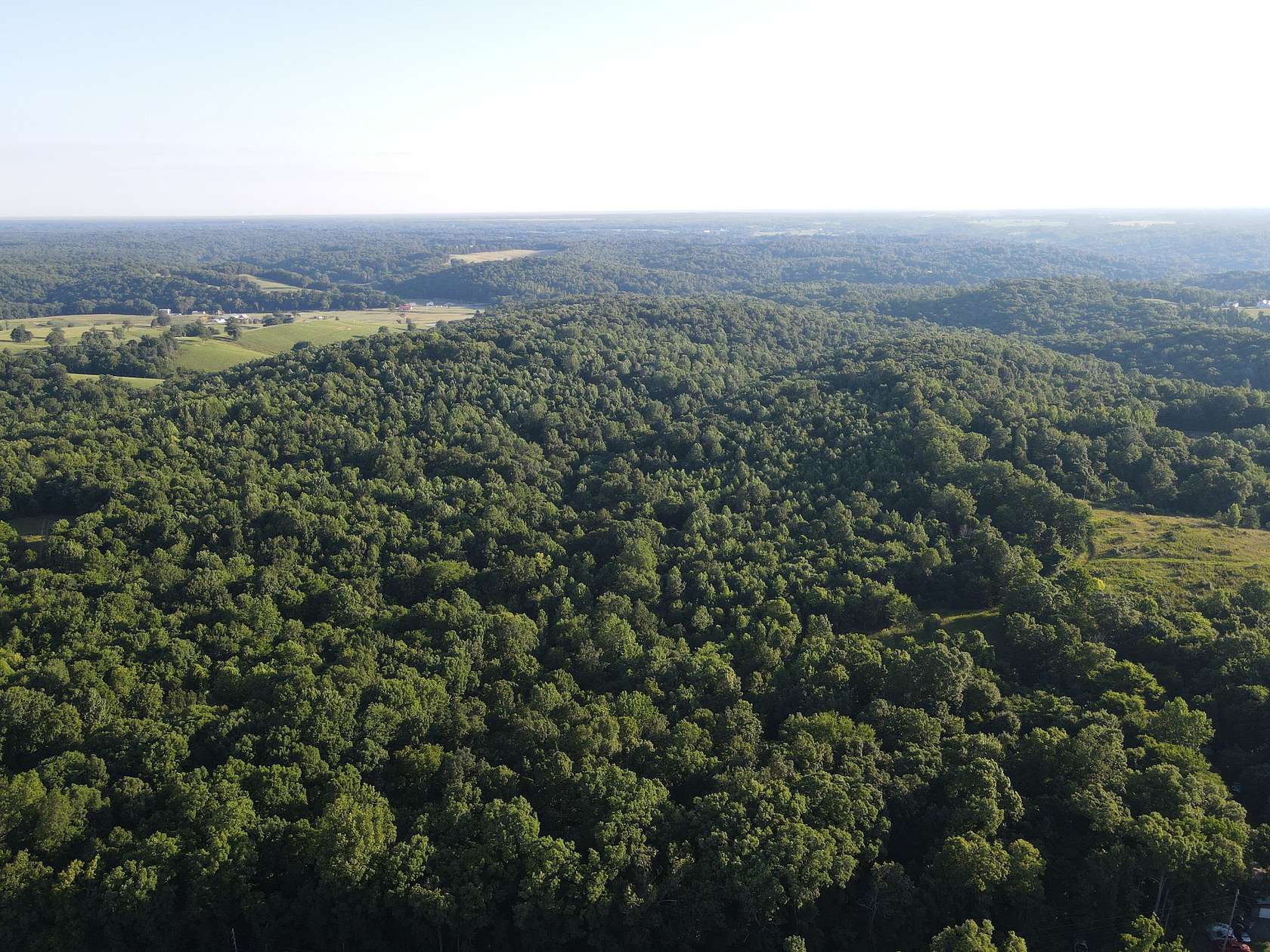20 Acres of Recreational & Residential Land for Sale in Woodlawn, Tennessee