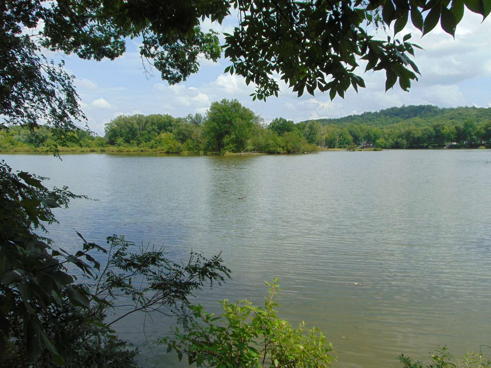 0.38 Acres of Residential Land for Sale in Clifton, Tennessee