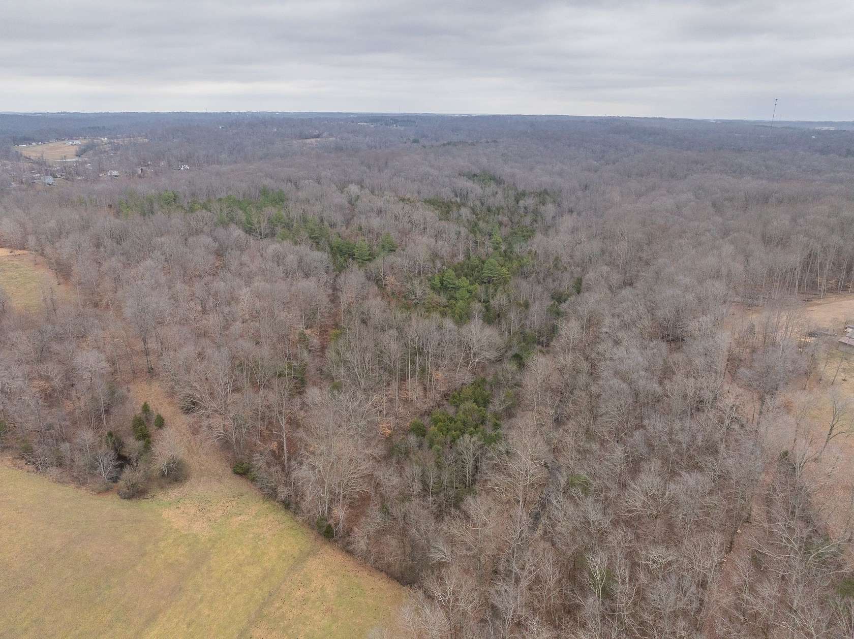150 Acres of Recreational Land for Sale in Dickson, Tennessee