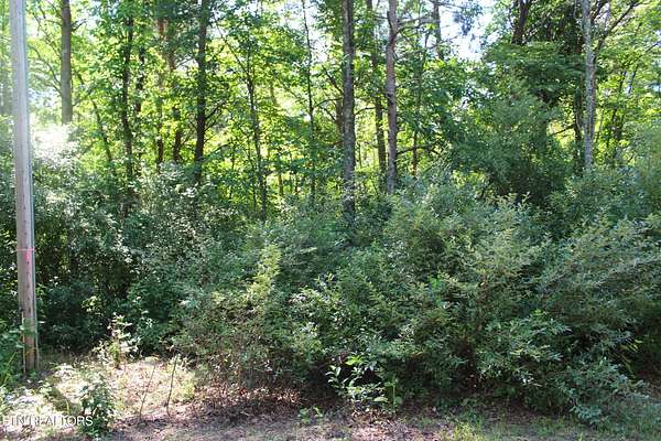 1.89 Acres of Residential Land for Auction in Grimsley, Tennessee