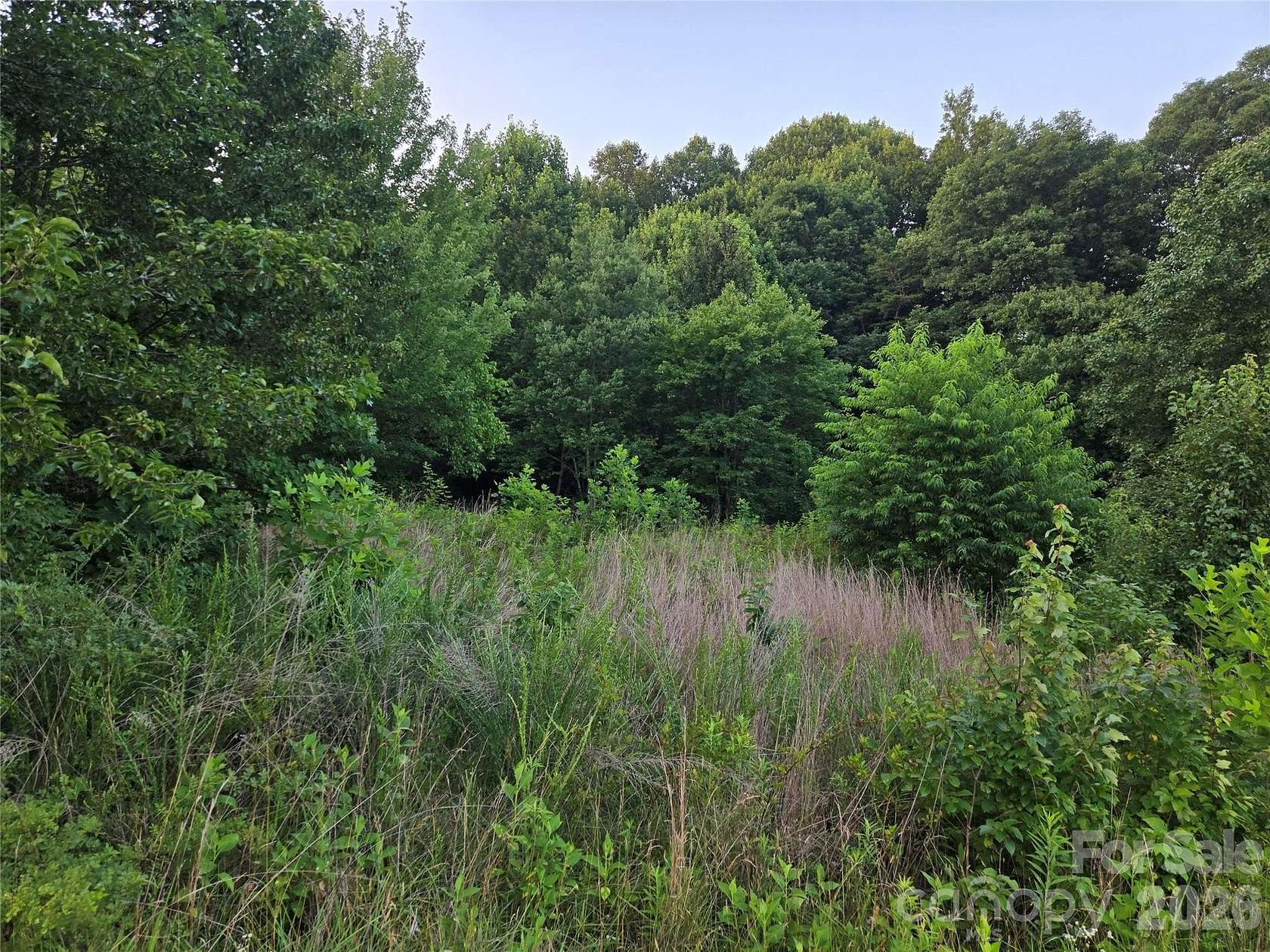 1.29 Acres of Residential Land for Sale in Taylorsville, North Carolina